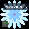 6T体育 logo