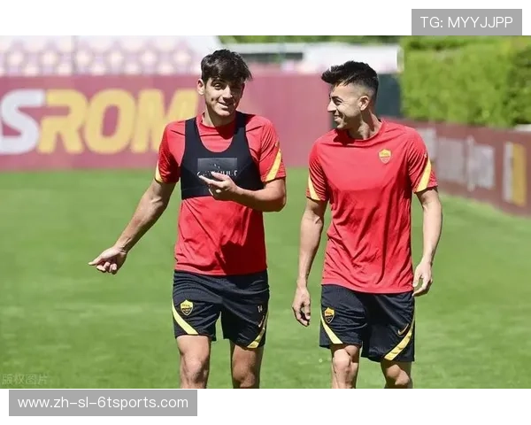 意甲南方球队阵容与地缘性分析报告