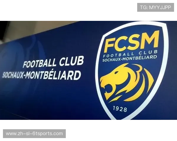 法甲外援合同分析及续约策略研究