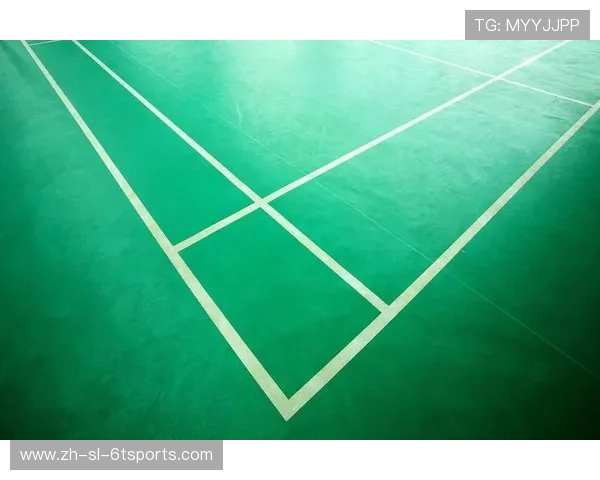 羽毛球男单场地